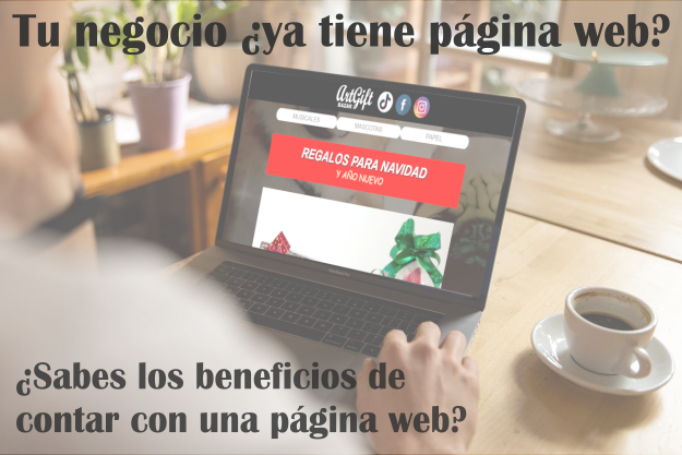 Persona navegando en Internet